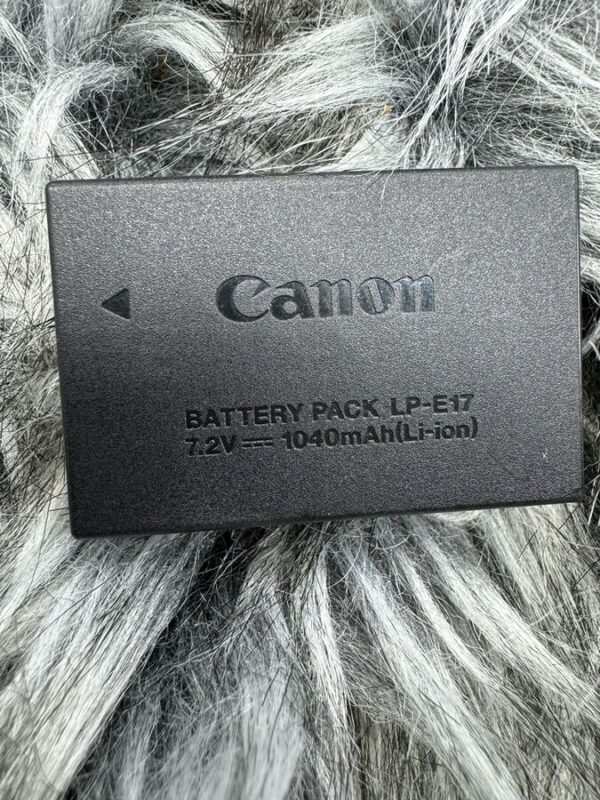 Canon Eos 77D 24.2 Mp Digital Slr Camera With Ef-S 18-55Mm & Ef-S 55-250Mm Lenses - Image 13