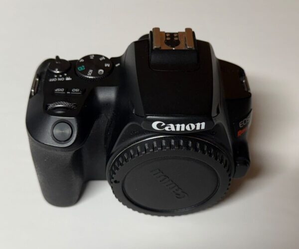 Canon Eos Rebel Sl3 Dslr With Five Lenses And Accessories - Image 7